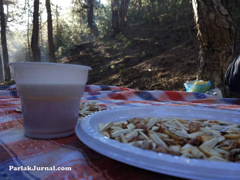 kızılcahamam kuruyemiş piknik