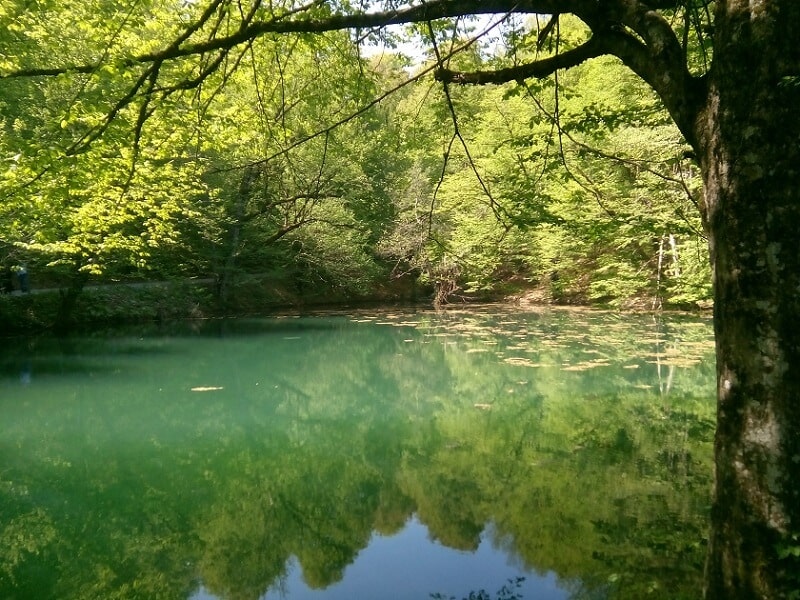 bolu ve yedigöller