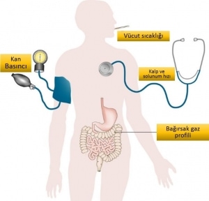 Gelecekte vital bulgular