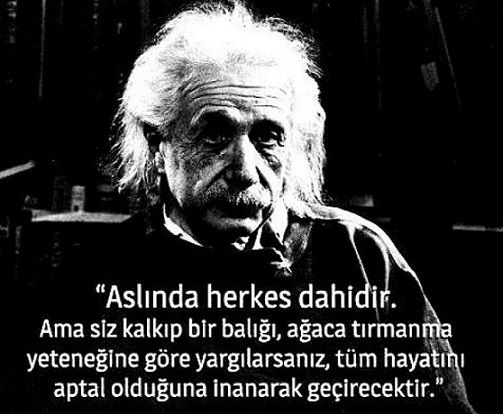 einstein eğitim sistemi