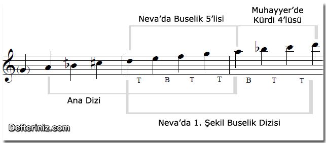 nevada 1. şekil buselik dizisi