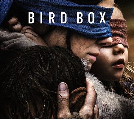 bird box