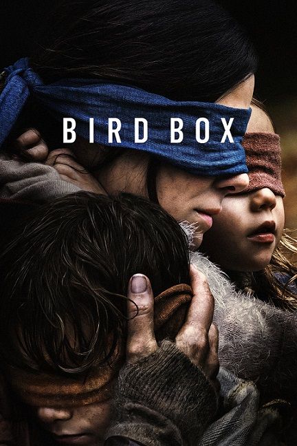 bird box