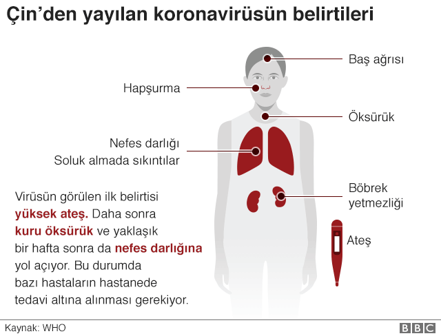COVID 19 Semptomları