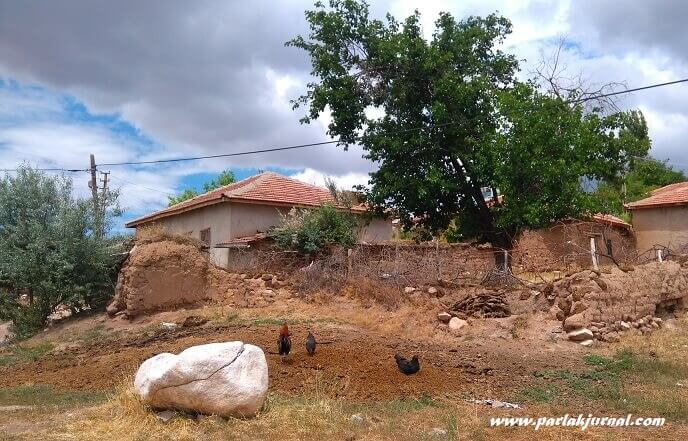 köy evi ve yeni yıl