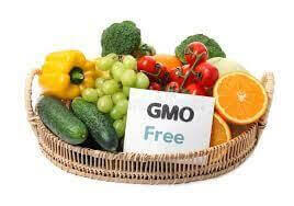 gmo free